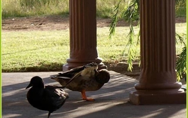 Mountain View Guest House