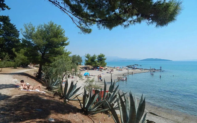 Apartmants Vlade