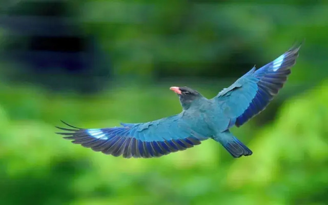 Kibikougen Resort Hotel