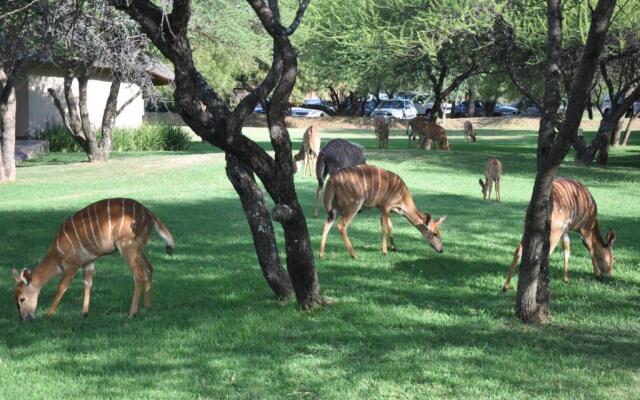 Mongena Game Lodge
