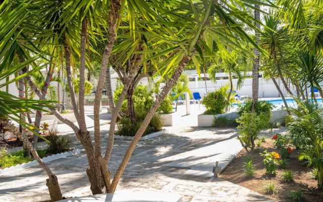 Paradise Island Beach Club