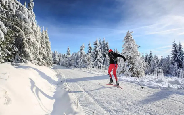 Winterberg Apartment 21128