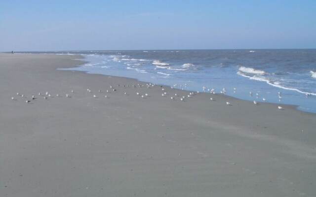 Klabautermann Maywald