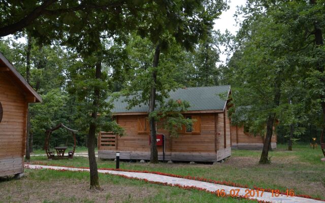 Sakarya Il Ormani Tabiat Parki Konaklama Evleri