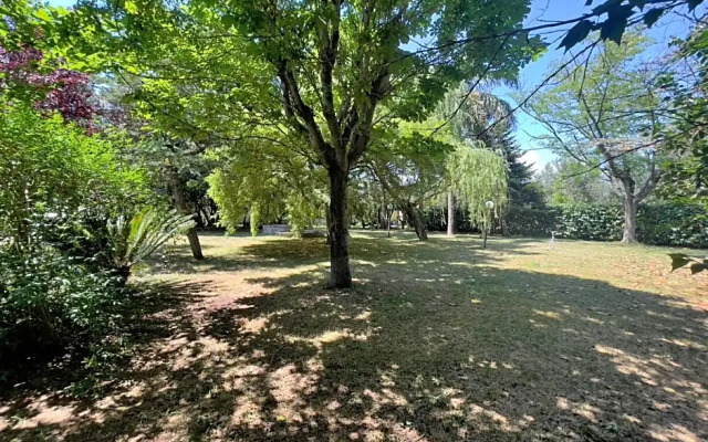 Camelie Apartment by Agriturismo Al Gallo Verde