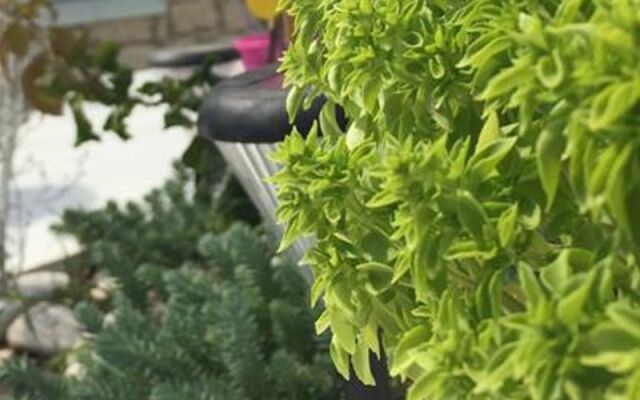 Saki Alaçatı Otel & Meyhane