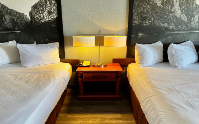 Super 8 by Wyndham Sealy