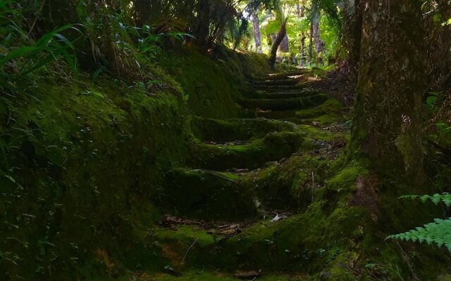 Ideal Para Familia Pequena O Grupo De Tres Amigos