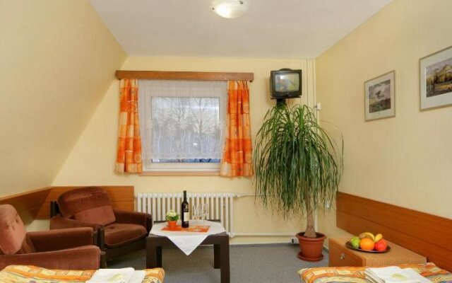 Hotel Stary Mlyn