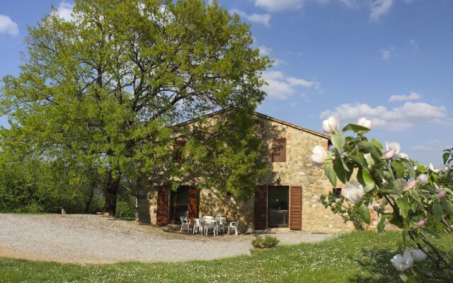 Verdidea - LA FICAIA