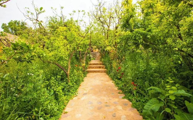 The Garden of Asni