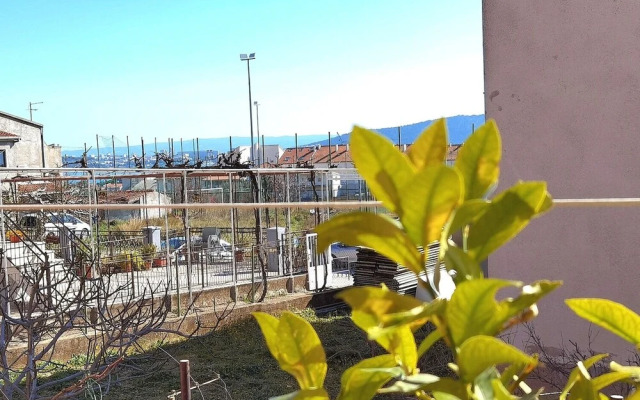 Zele - Close to Marina - A1