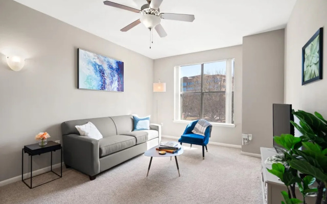 Plano Executive 1BD 1BA Apartment