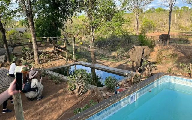 Khanya Conservation Camp