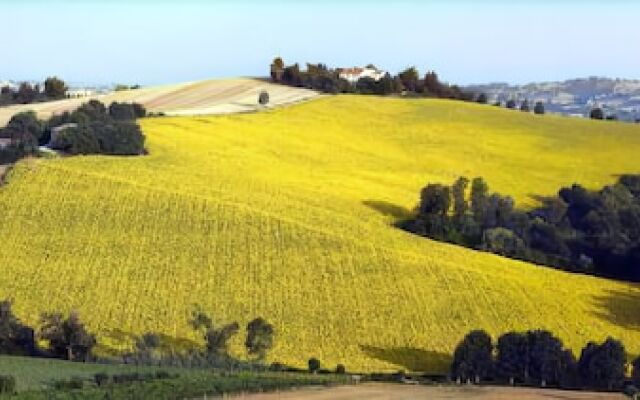 Agriturismo Ripabianca