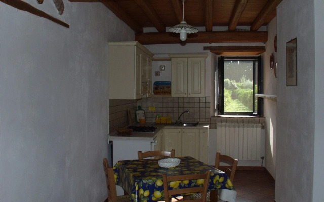 Codavolpe Giardino di Tea