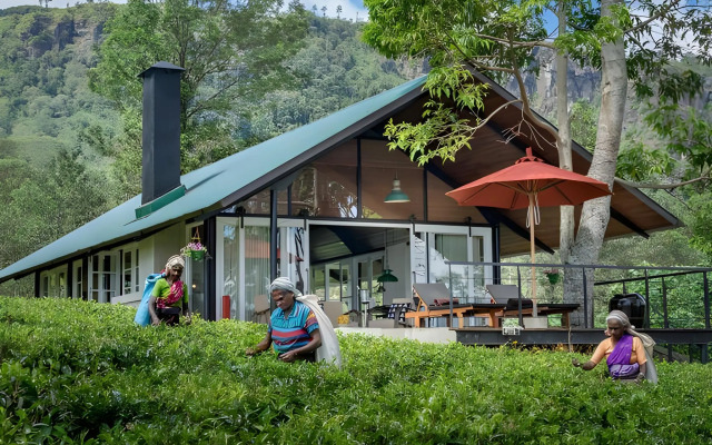 Madulkelle Tea and Eco Lodge