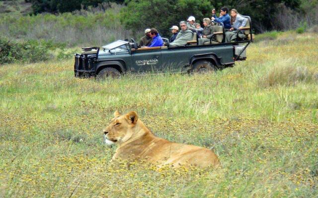 Gondwana Game Reserve