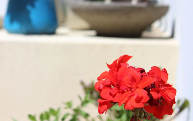 Triplex con terraza única a 50 mts del mar