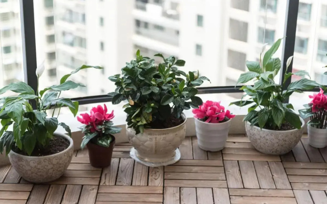 Haikou Meilan·Hainan Univeristy· Locals Apartment 00141450