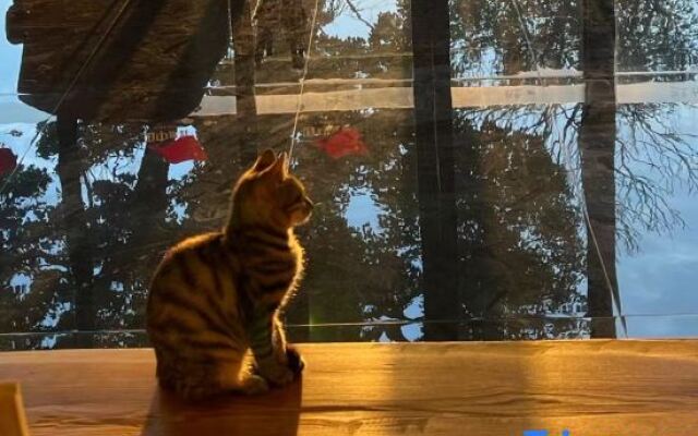 Zhuoyue Health Hot Spring Homestay