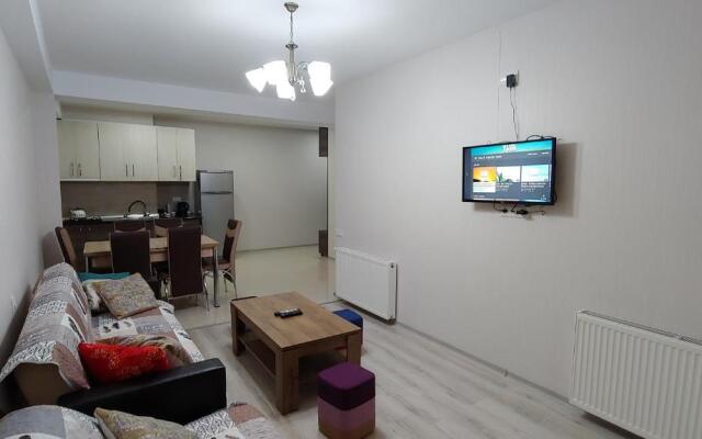 Davit Agmashenebeli N 21