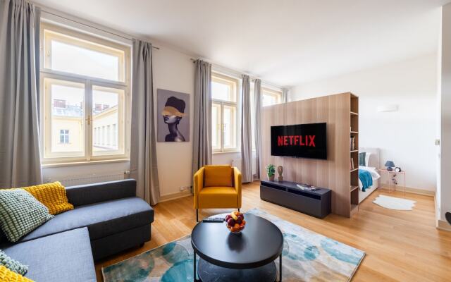 Luxurious apartment on Castle Square