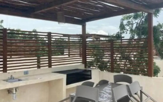 Selva norte Tulum