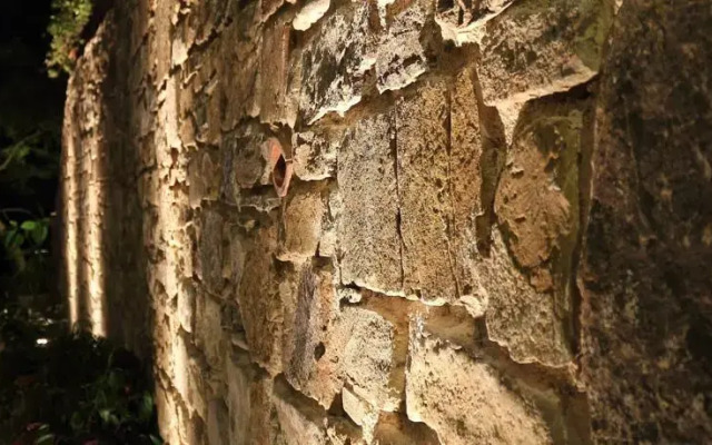 La Gatta Del Cilento