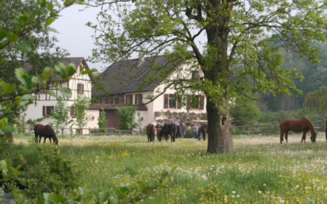 Eulenmühle