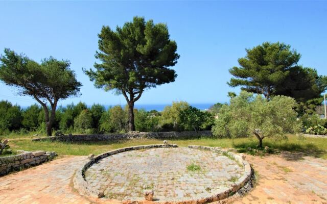 Sal010 in Torre Pali