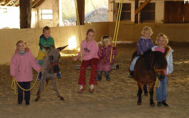 Reit- Und Ferienhof Maack