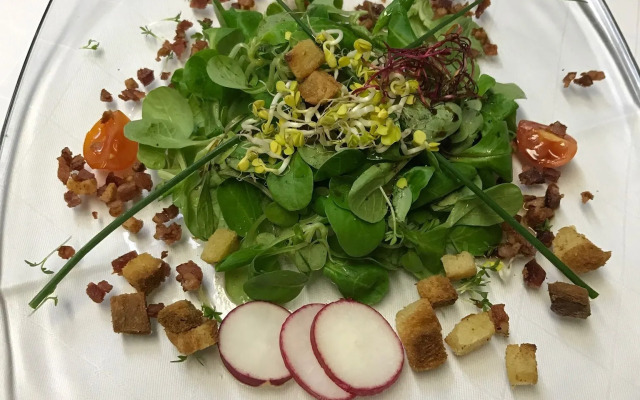 Berggasthof Hummelei