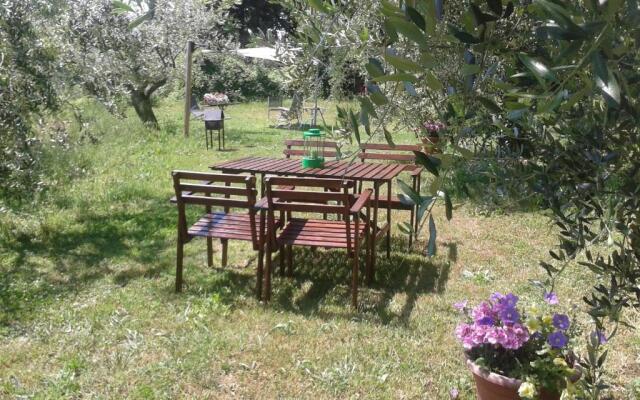 Le Valli Lavanda