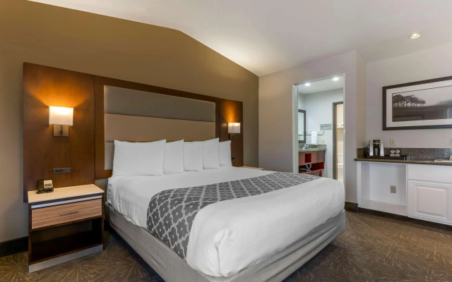 Best Western Plus Forest Park Inn