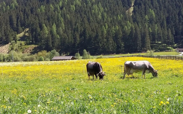 Landhaus Alpensonne