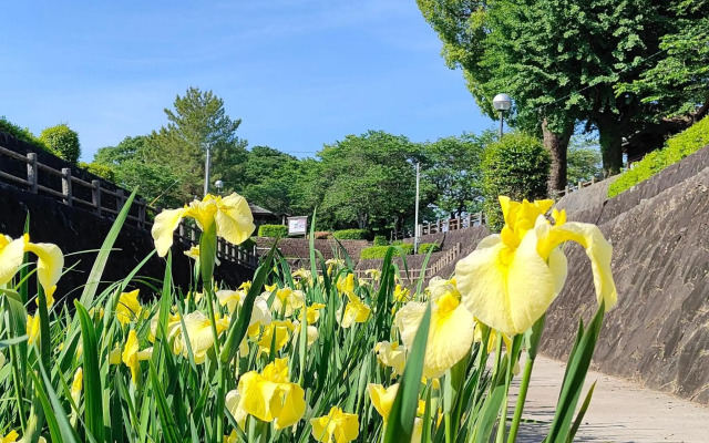 Tamana - House / Vacation STAY 62460