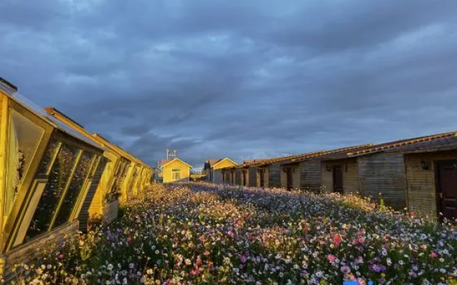 Xingsu Grassland Starry Sky Inn