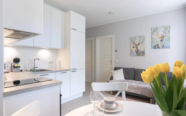 Kalamehe Modern Apartment 2 near City center