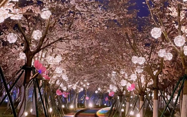 Chonpines Hotel (Yancheng Airport)