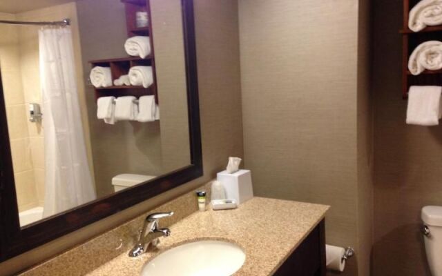 Comfort Inn Minot Area