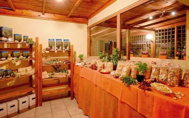 Hotel Palme Gemelle