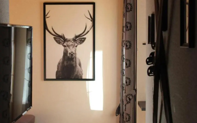 Lilly Chalet- Apartments with private sauna, close to ski lifts