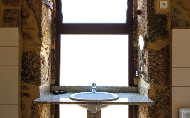 Raízes da Vinha - by Matias Nature