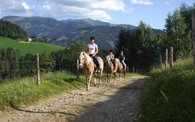 Bauernhof Pension Juri