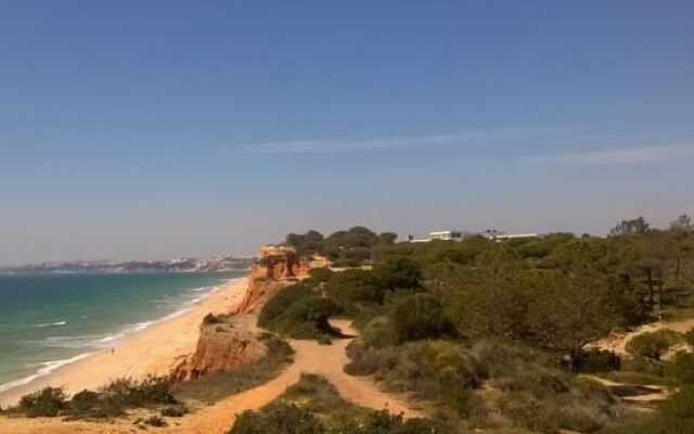 Beach Falésia