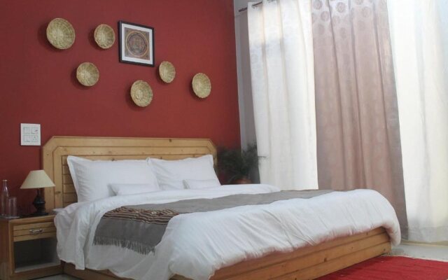 Junglaat Ecorganic Stays & Experiences