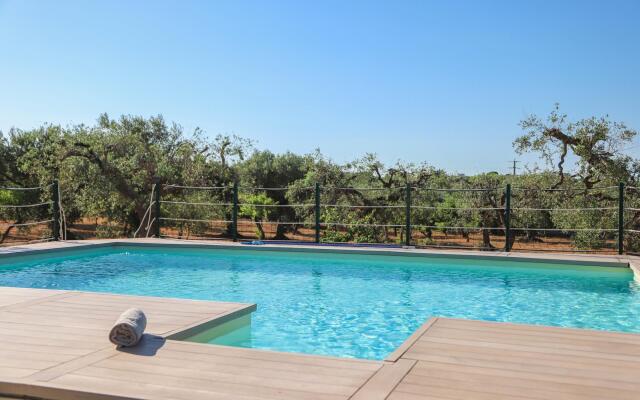 TD Trulli Albapetra Pool Olive Trees