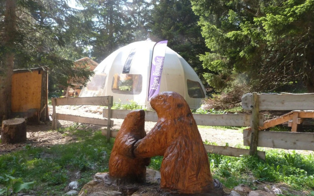 Eco Bivouac Village D'Igloo - Campground
