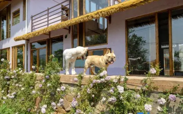 Nature in Nature Pet-friendly Courtyard（Jingzhuang）
